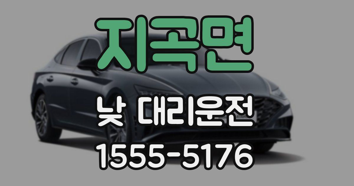 지곡면 낮 대리운전