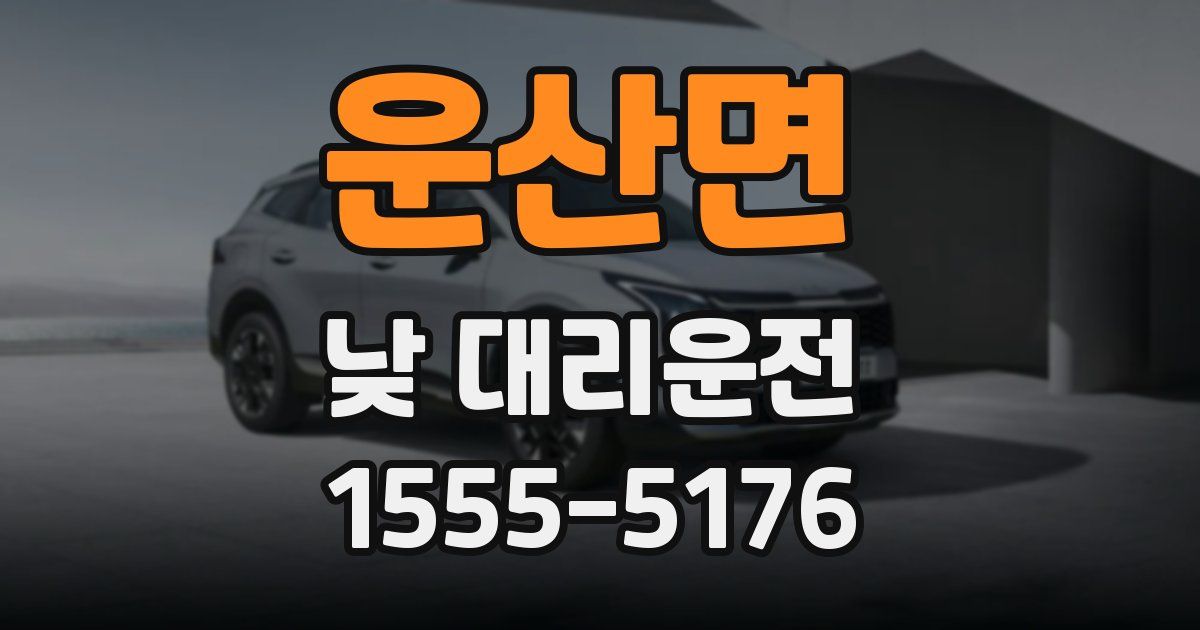 운산면 낮 대리운전