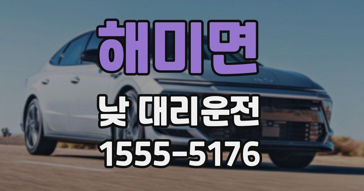 해미면 낮 대리운전