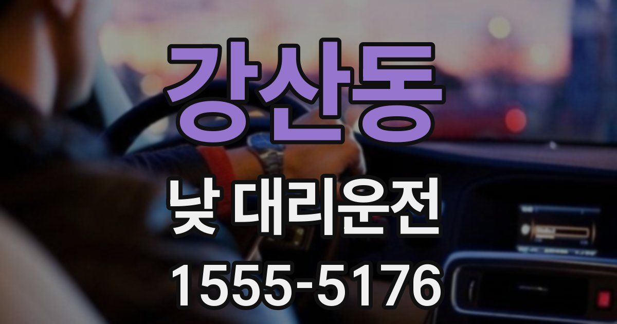 강산동 낮 대리운전