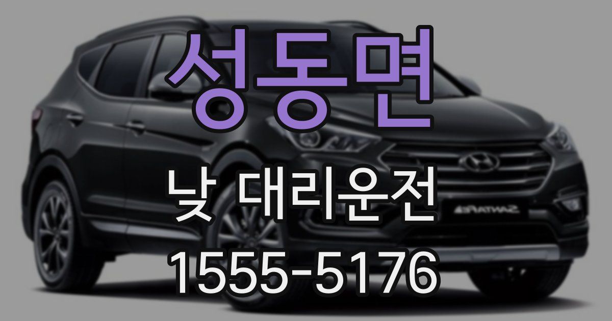 성동면 낮 대리운전