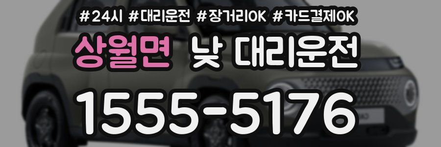 상월면 낮 대리운전