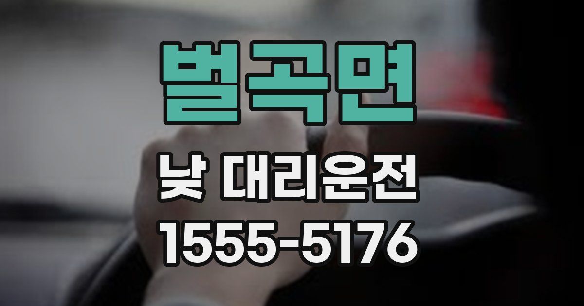 벌곡면 낮 대리운전