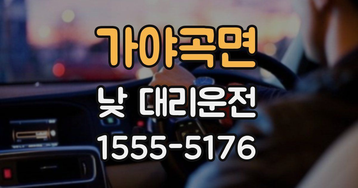가야곡면 낮 대리운전