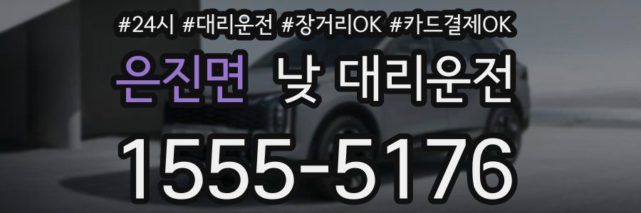 은진면 낮 대리운전