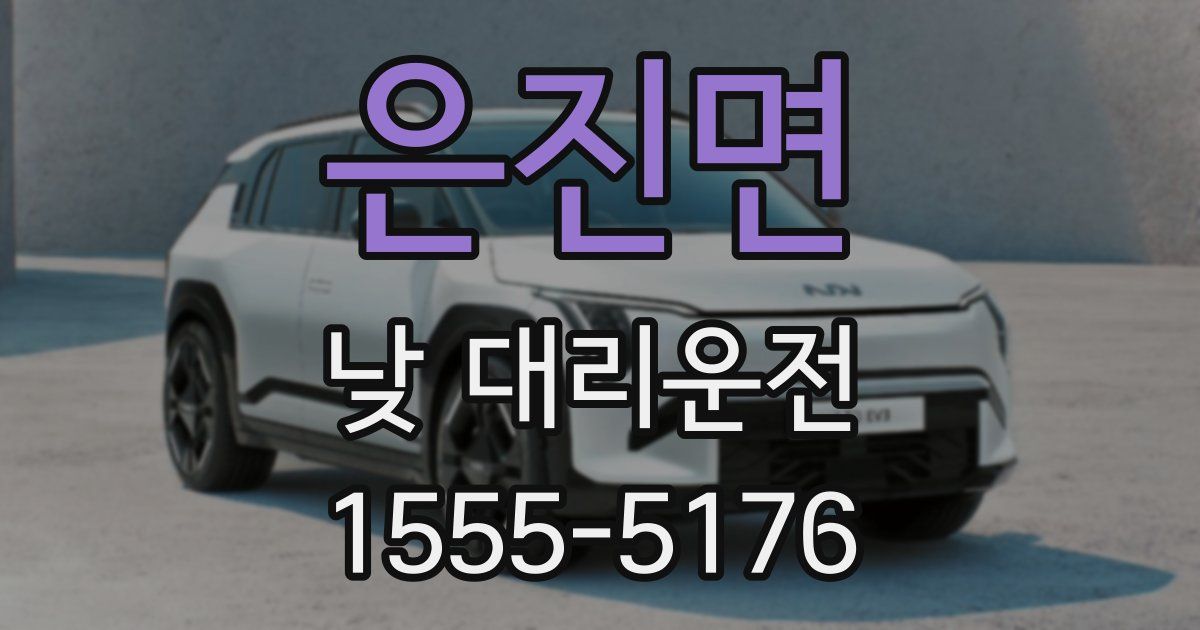 은진면 낮 대리운전
