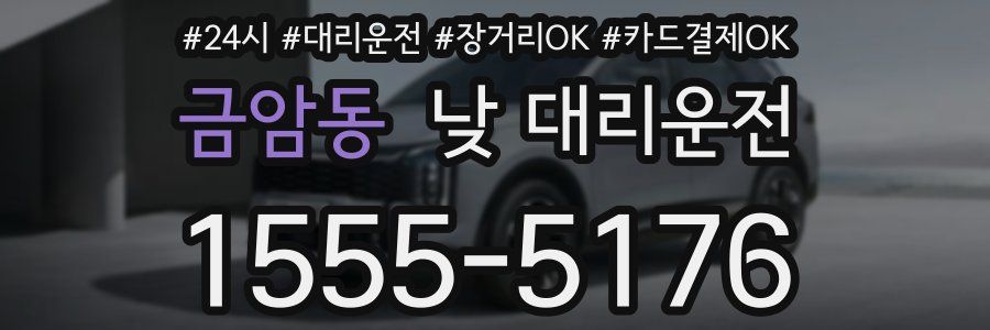금암동 낮 대리운전