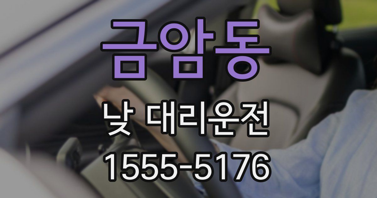 금암동 낮 대리운전