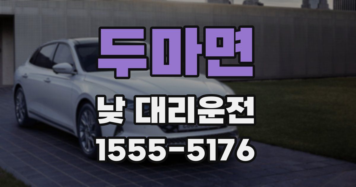 두마면 낮 대리운전