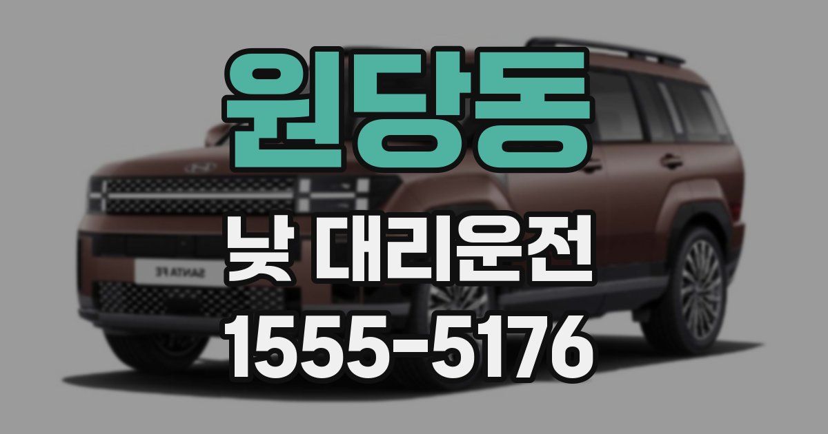 원당동 낮 대리운전