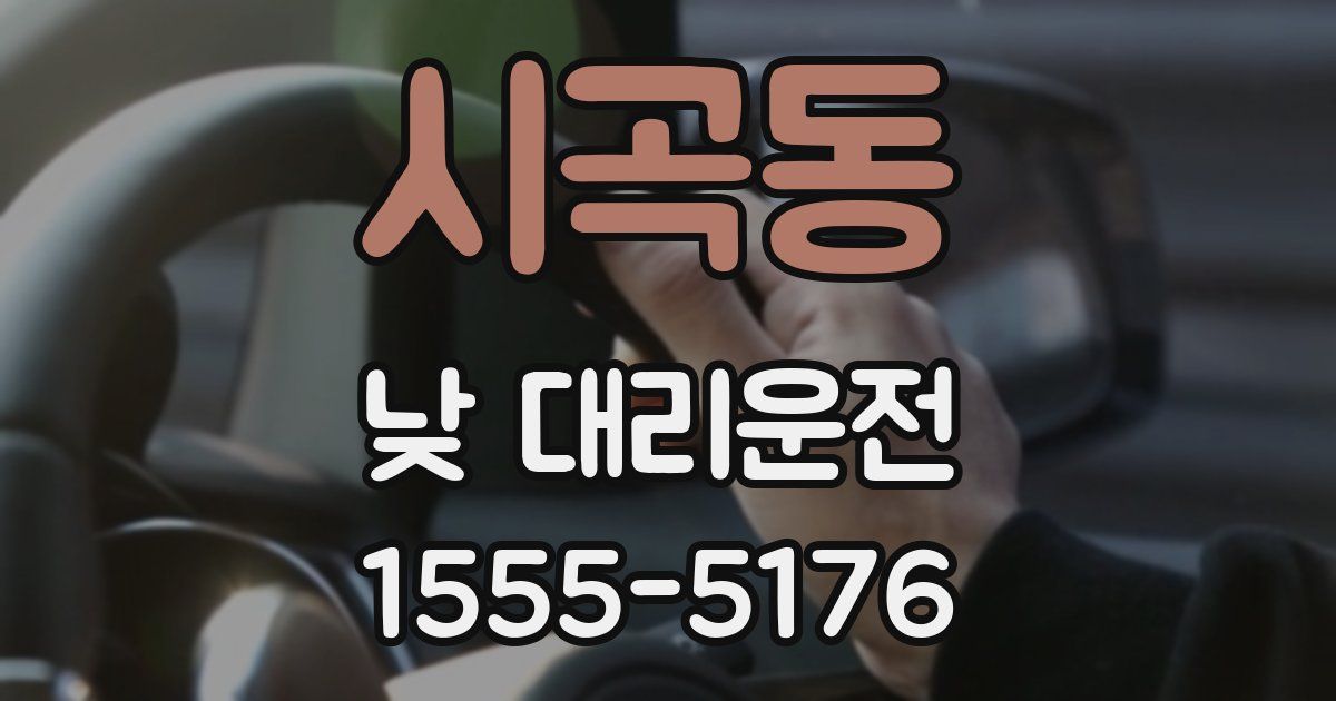 시곡동 낮 대리운전