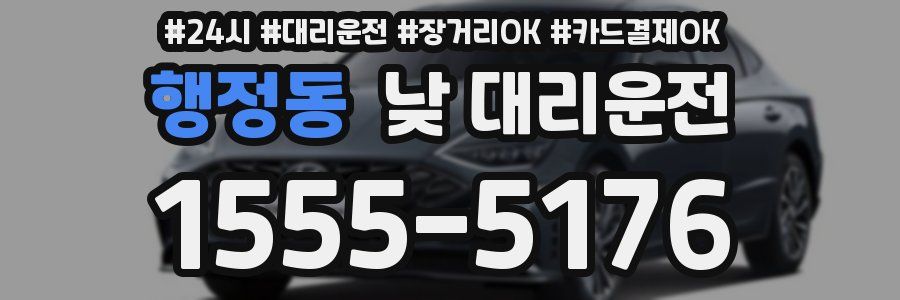 행정동 낮 대리운전