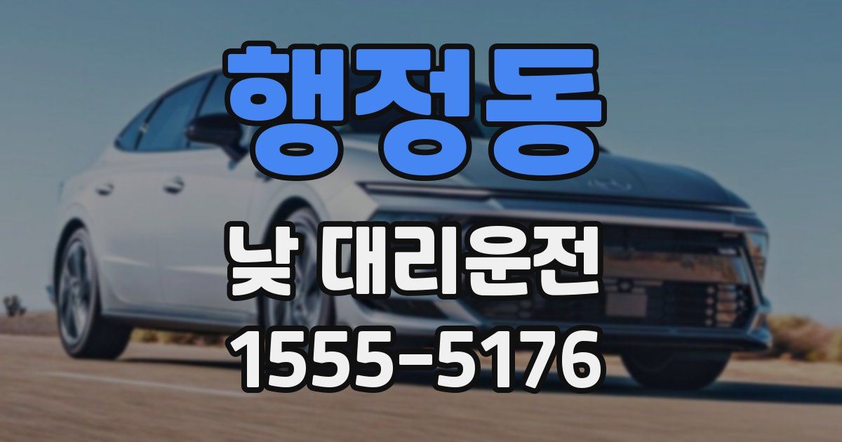 행정동 낮 대리운전