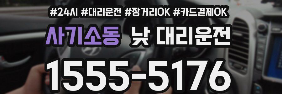 사기소동 낮 대리운전