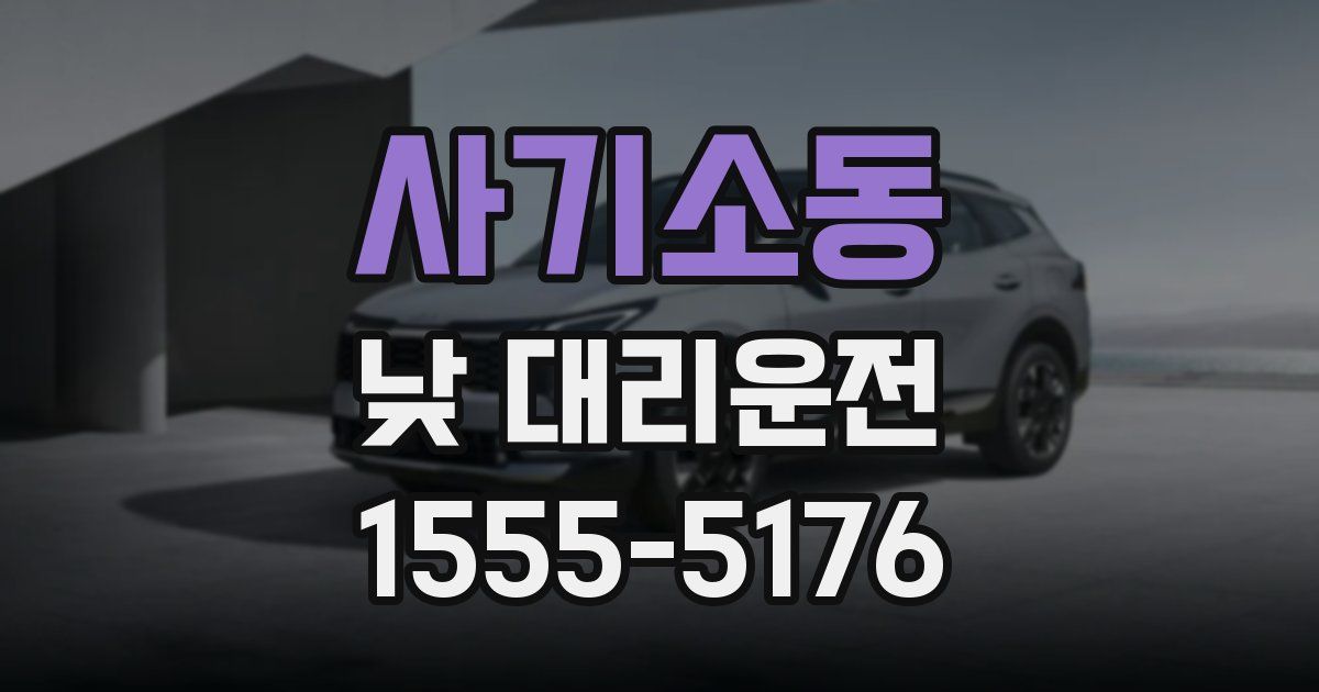 사기소동 낮 대리운전