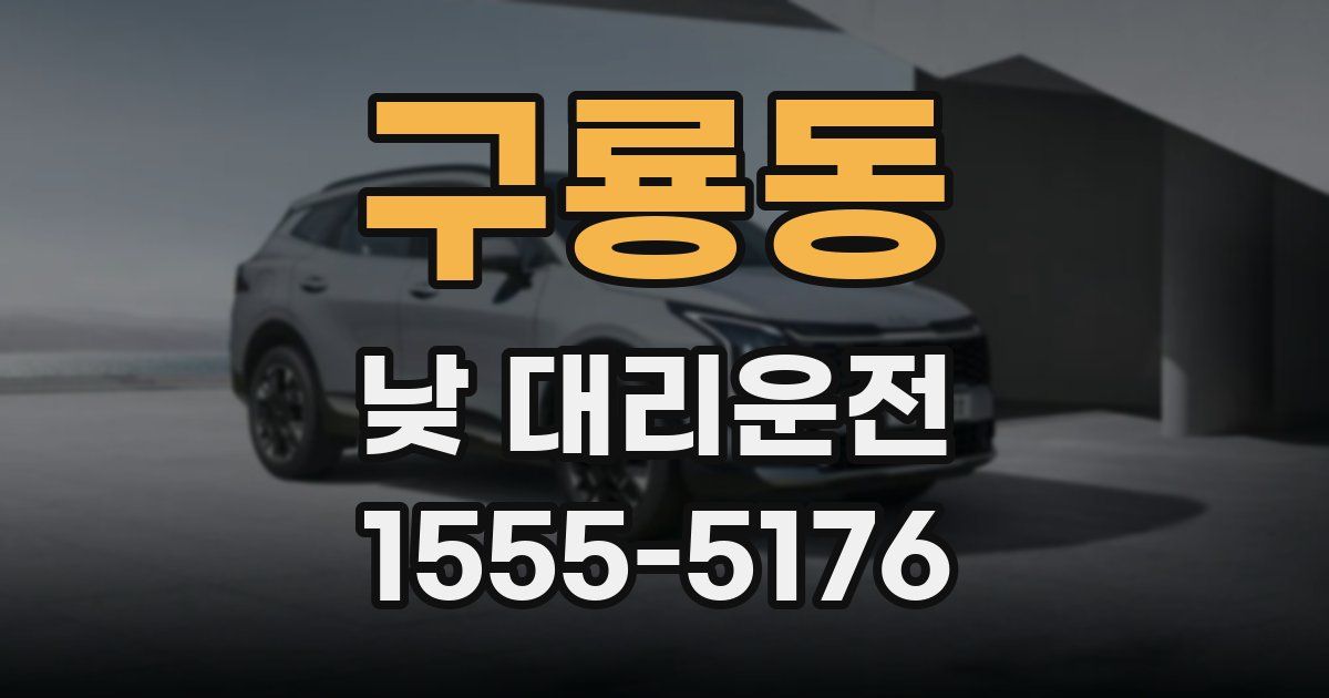 구룡동 낮 대리운전