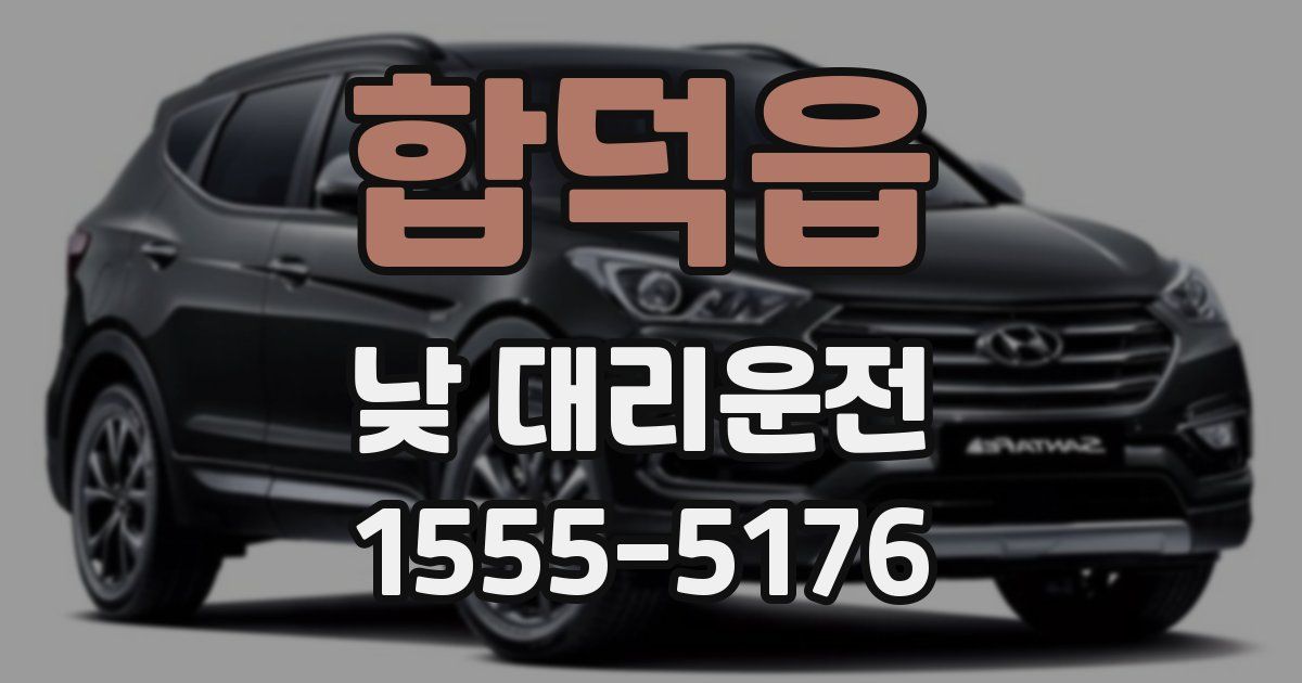합덕읍 낮 대리운전
