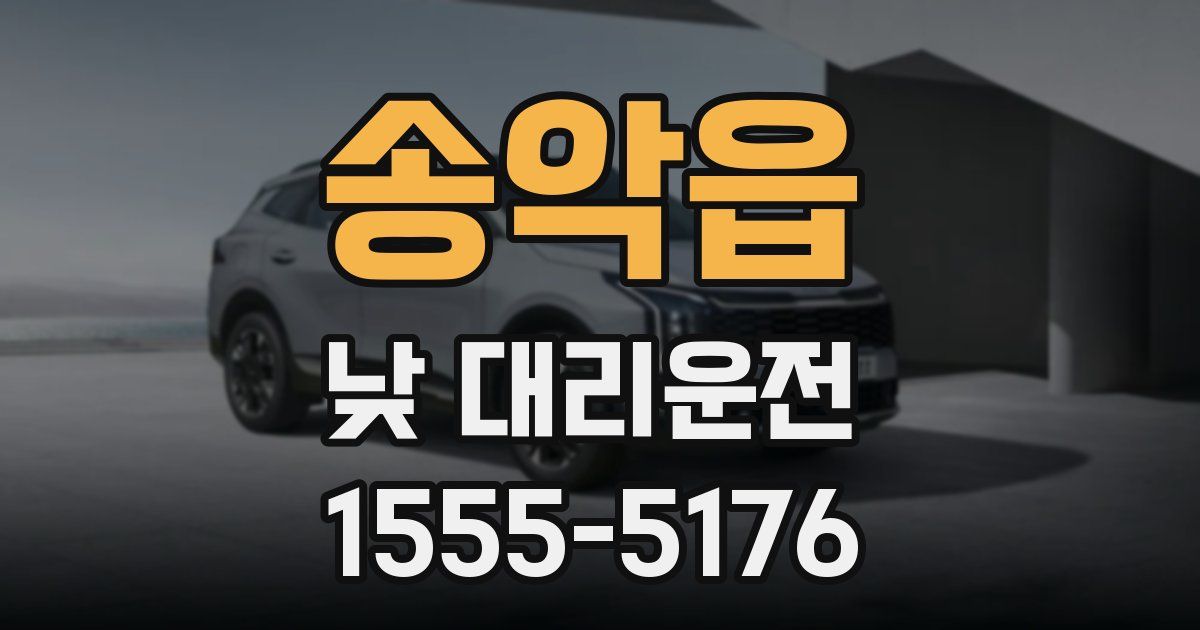 송악읍 낮 대리운전
