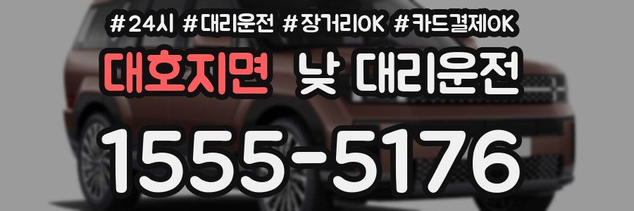 대호지면 낮 대리운전
