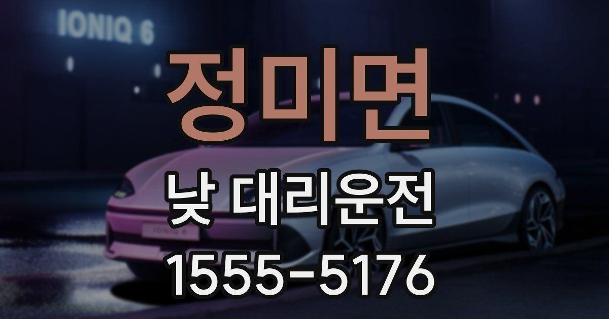 정미면 낮 대리운전