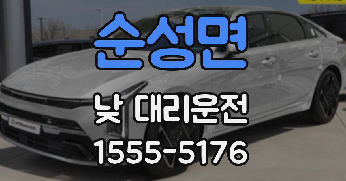 순성면 낮 대리운전