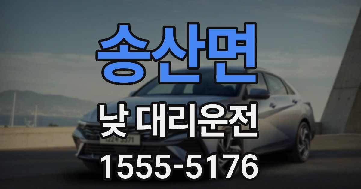 송산면 낮 대리운전