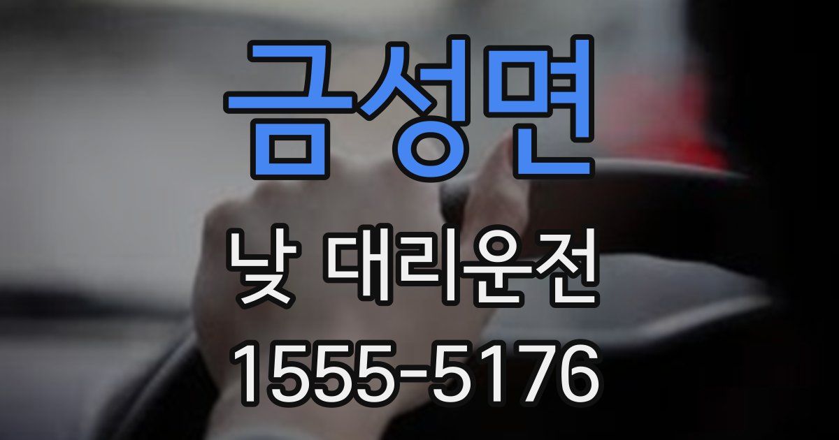 금성면 낮 대리운전