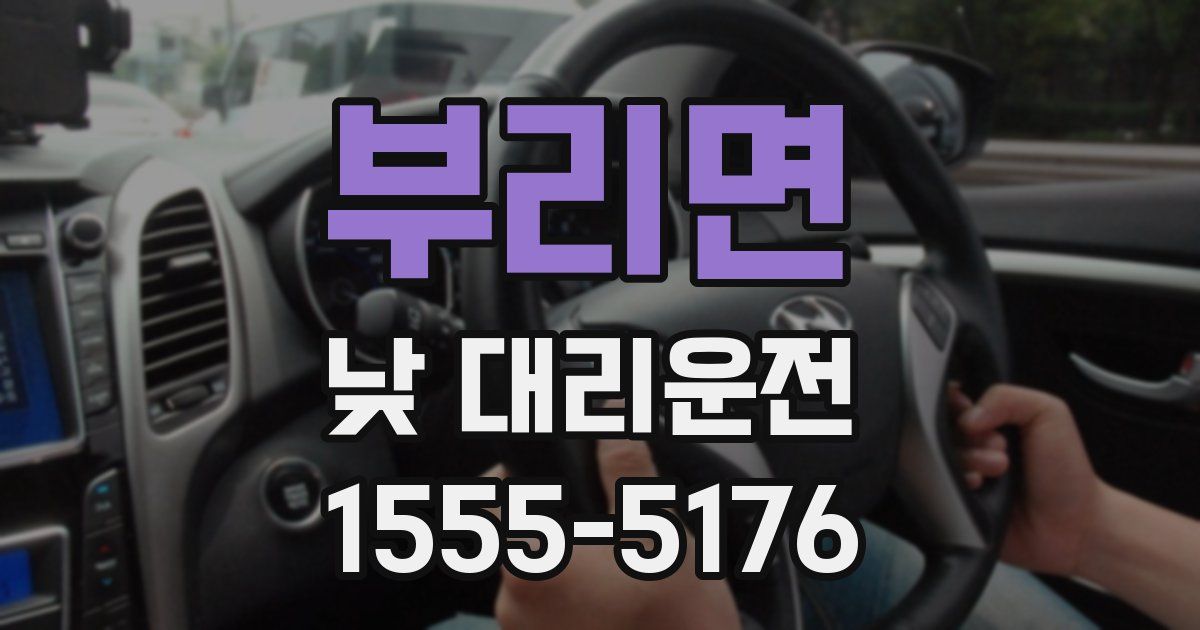 부리면 낮 대리운전