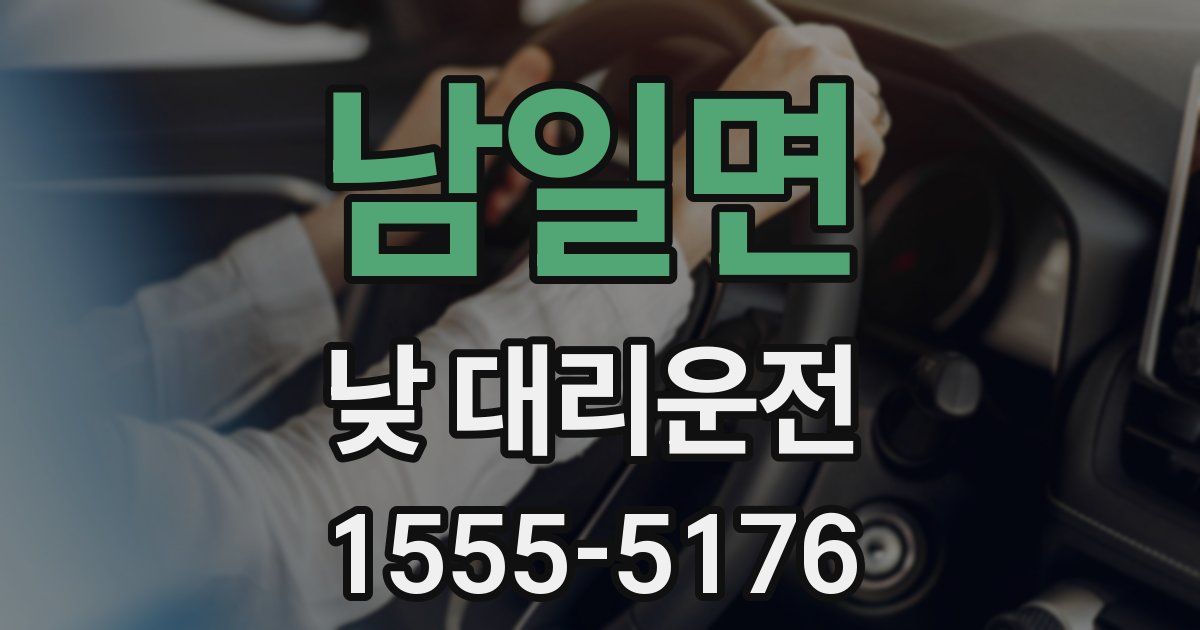 남일면 낮 대리운전