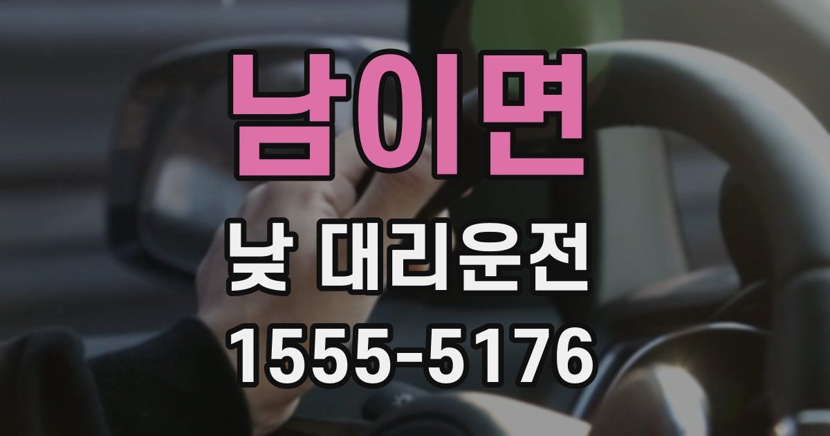남이면 낮 대리운전