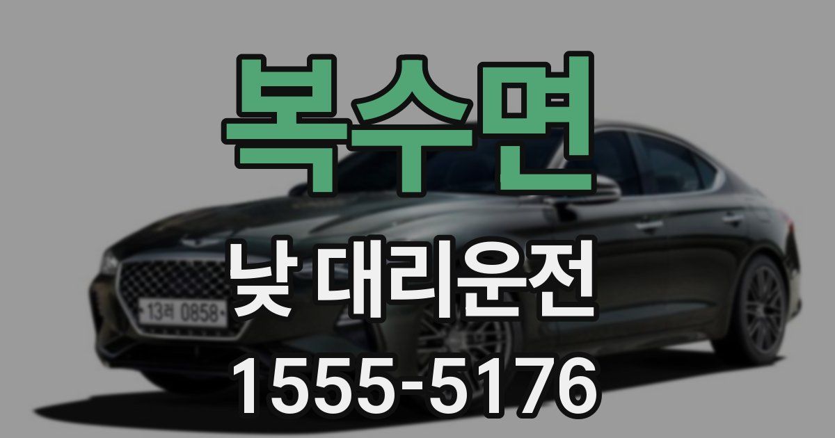 복수면 낮 대리운전