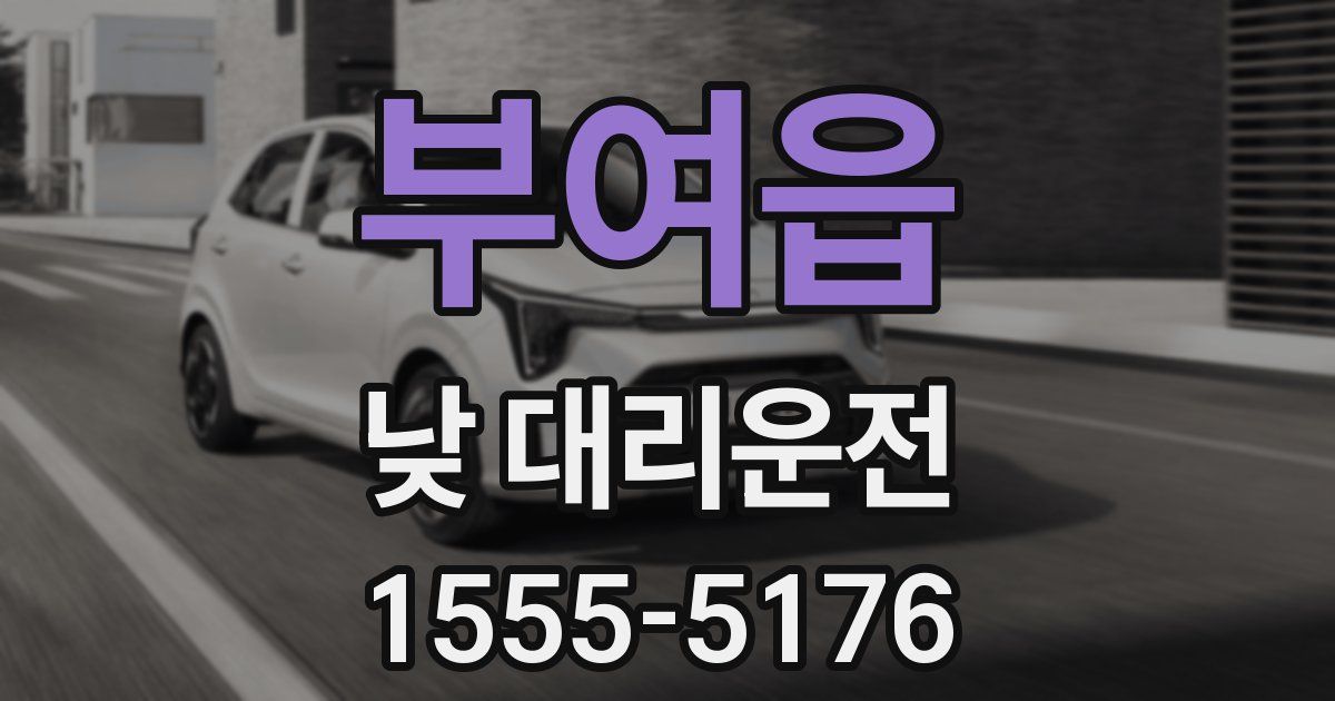 부여읍 낮 대리운전