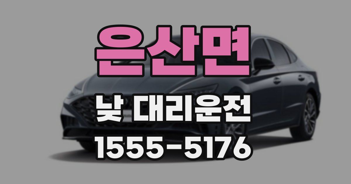은산면 낮 대리운전