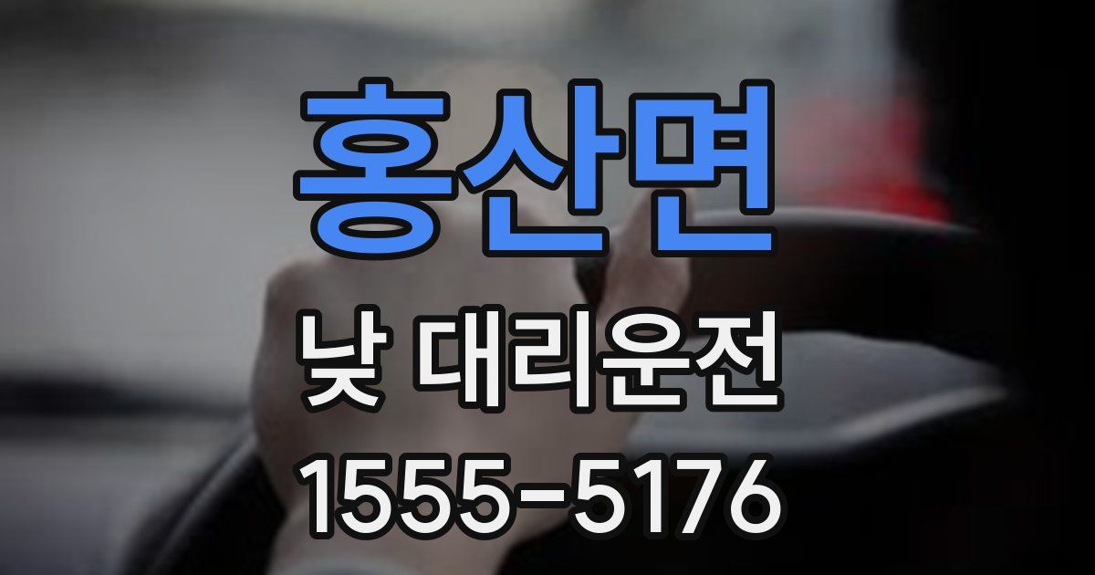 홍산면 낮 대리운전