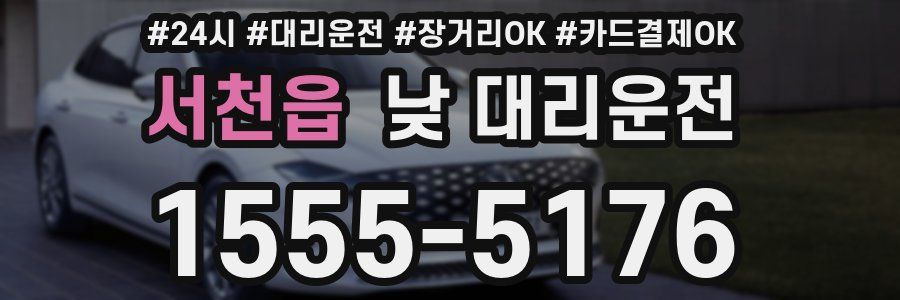 서천읍 낮 대리운전