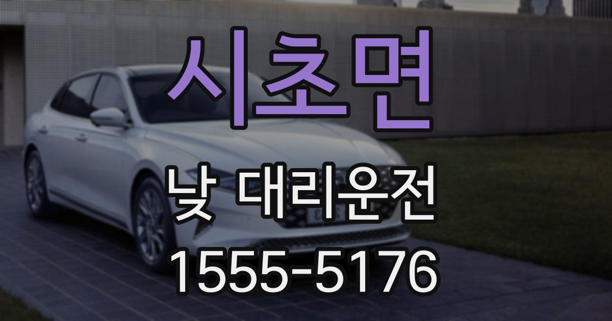시초면 낮 대리운전