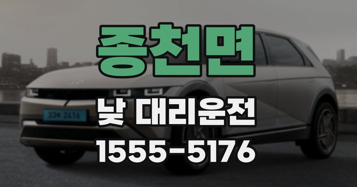종천면 낮 대리운전