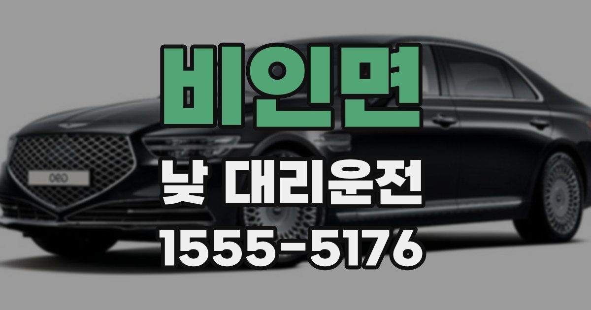 비인면 낮 대리운전