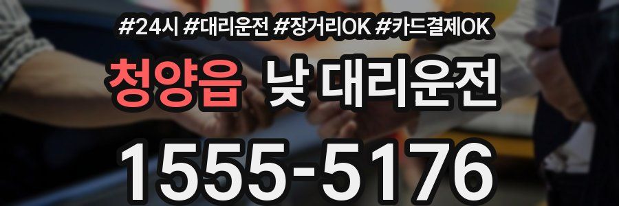 청양읍 낮 대리운전