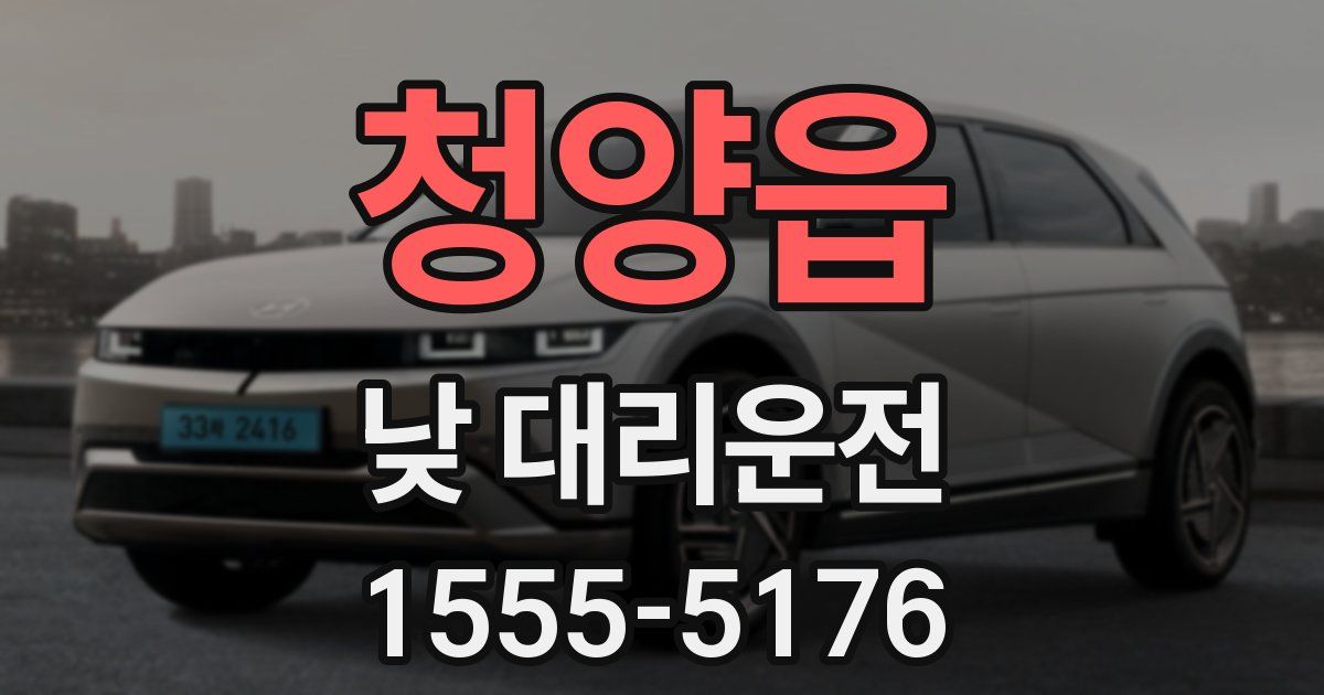 청양읍 낮 대리운전