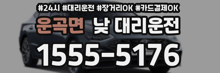 운곡면 낮 대리운전