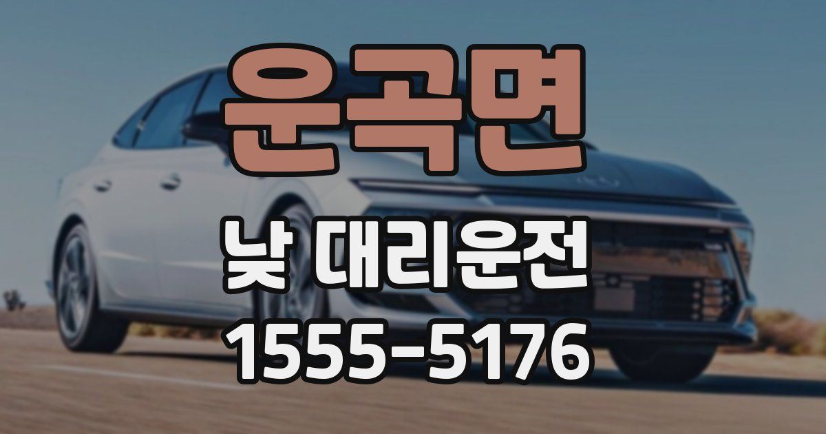 운곡면 낮 대리운전