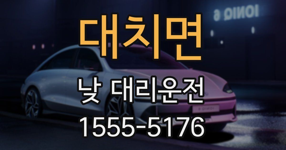 대치면 낮 대리운전