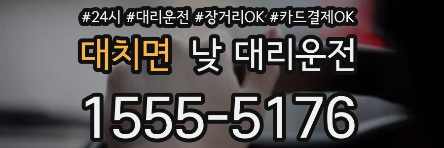 대치면 낮 대리운전