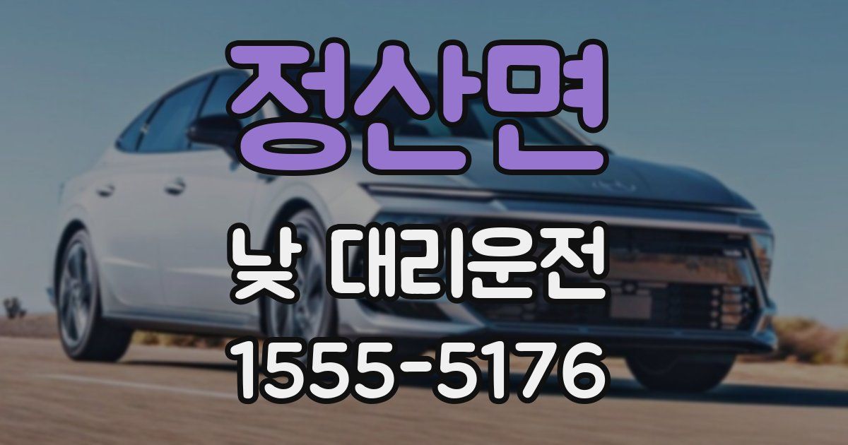 정산면 낮 대리운전