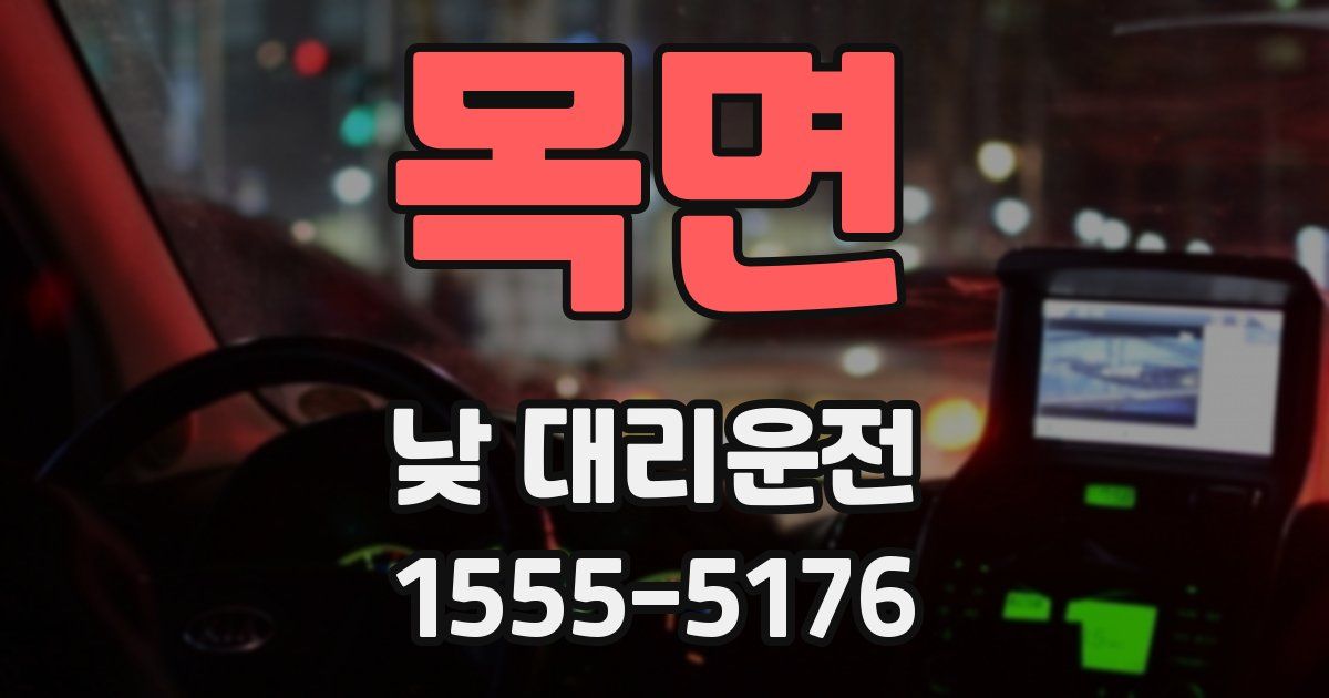 목면 낮 대리운전