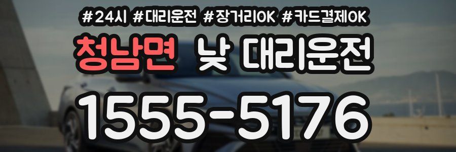 청남면 낮 대리운전