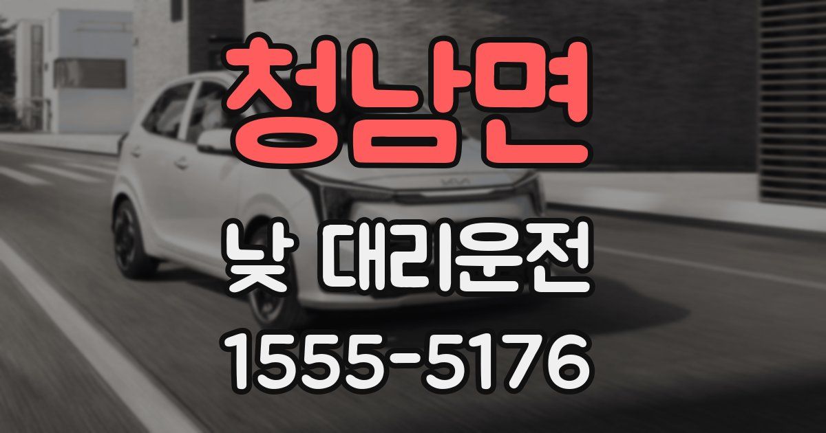 청남면 낮 대리운전