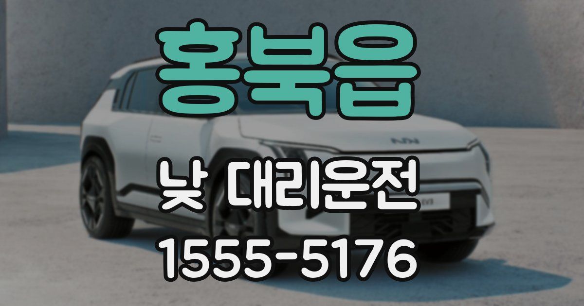 홍북읍 낮 대리운전