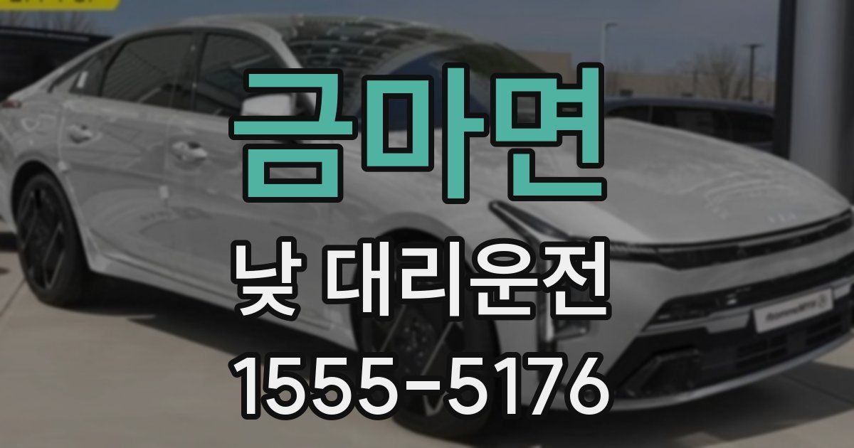 금마면 낮 대리운전